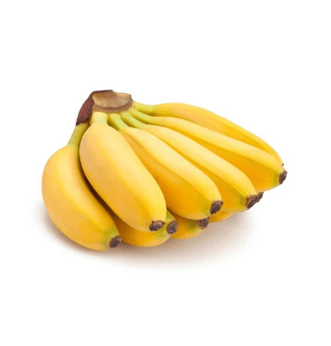 Banana Tree - Lady Finger