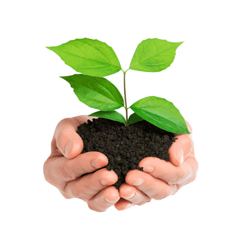 Compost & Potting Soil - 30dm Bags