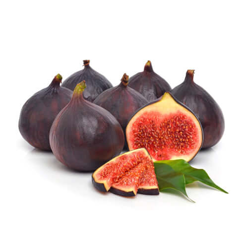 Fig Tree - Southern Black
