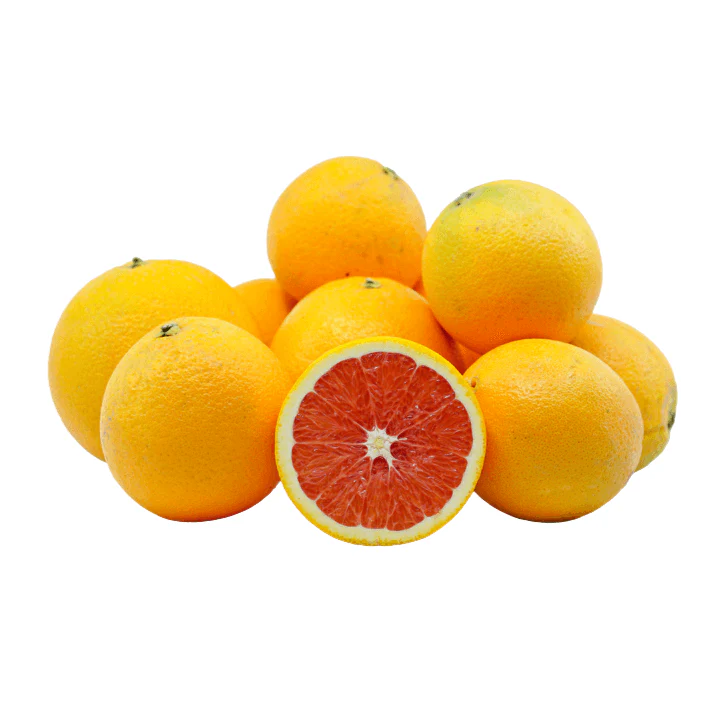 Blood Orange Tree - Cara Cara