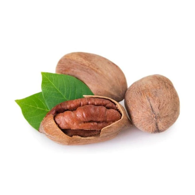 Pecan Nut Tree - Wichita