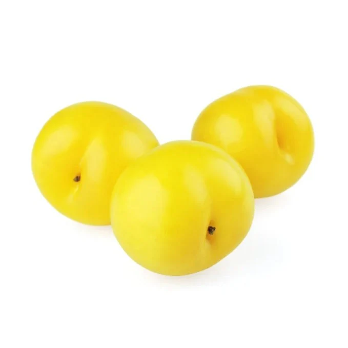 Plum Tree - Songold Yellow