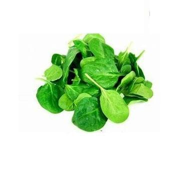 Baby Spinach 6 pack