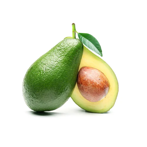 Avocado Tree - Fuerte