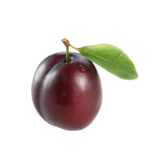 Plum Tree - Souvenir