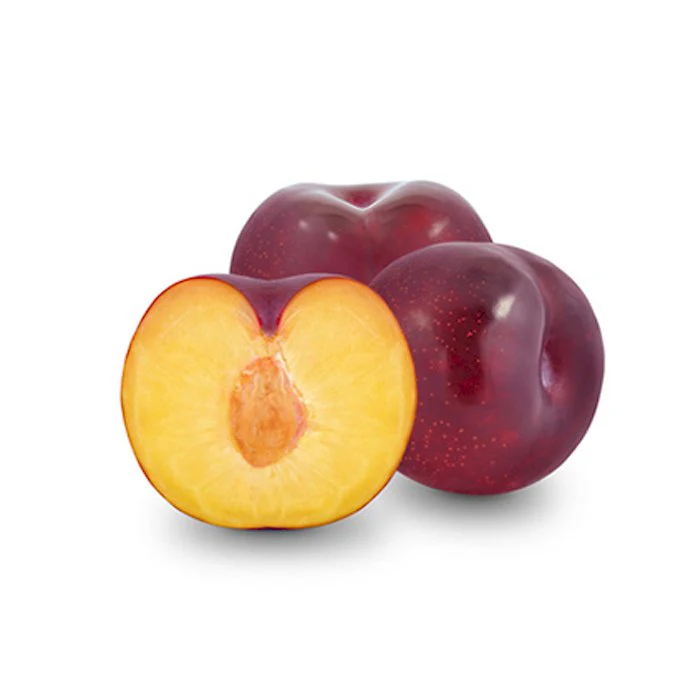 Plum Tree - Pioneer
