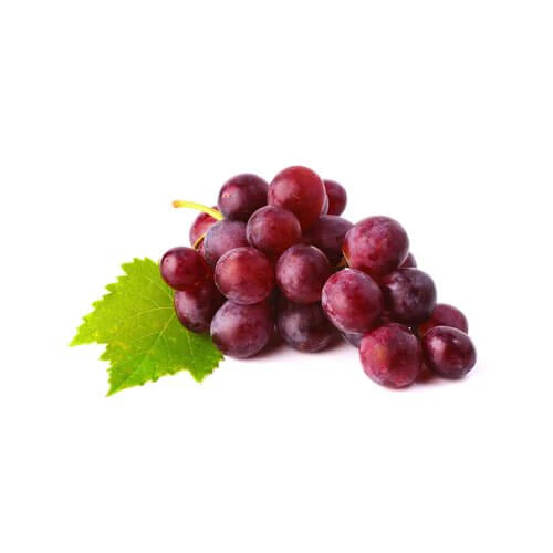 Grape Tree - Red Globe