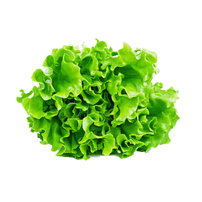Lettuce 6 pack - Wahoo