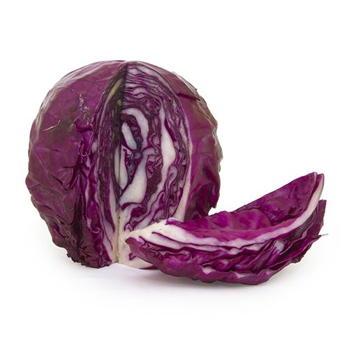 Red Baby Cabbage 6 pack