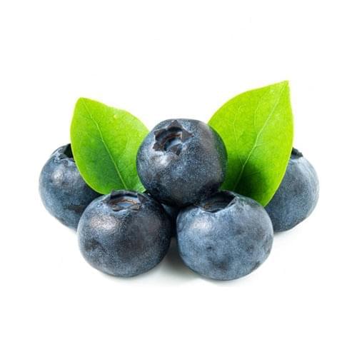 Blueberry Tree - Legacy