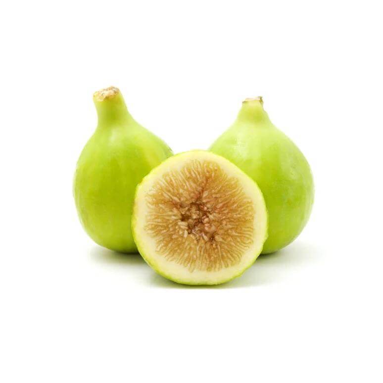 Fig Tree - White Genoa