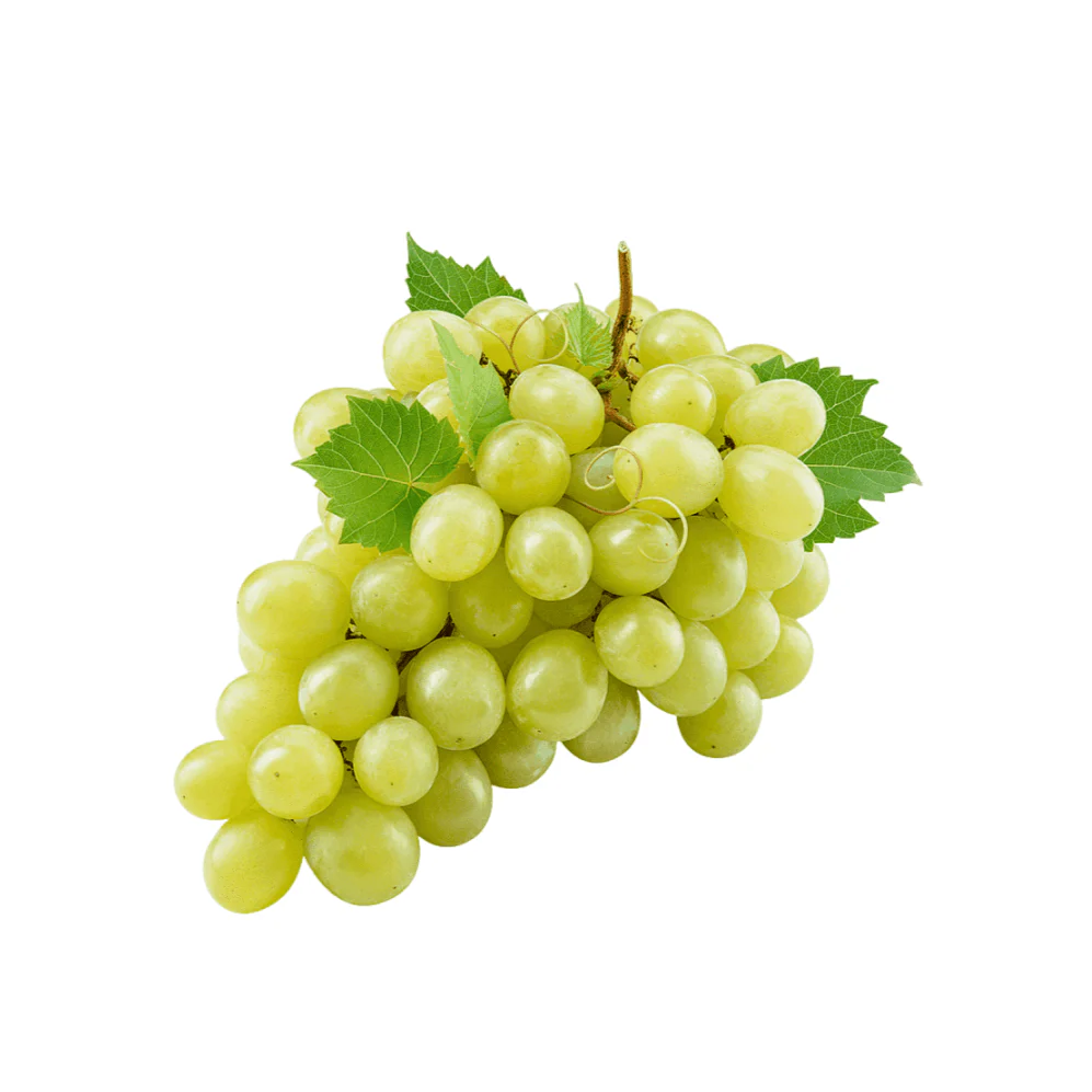 Grape Tree - Sultana