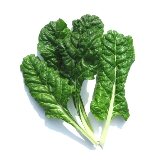 Spinach 6 pack - Fordhook Giant