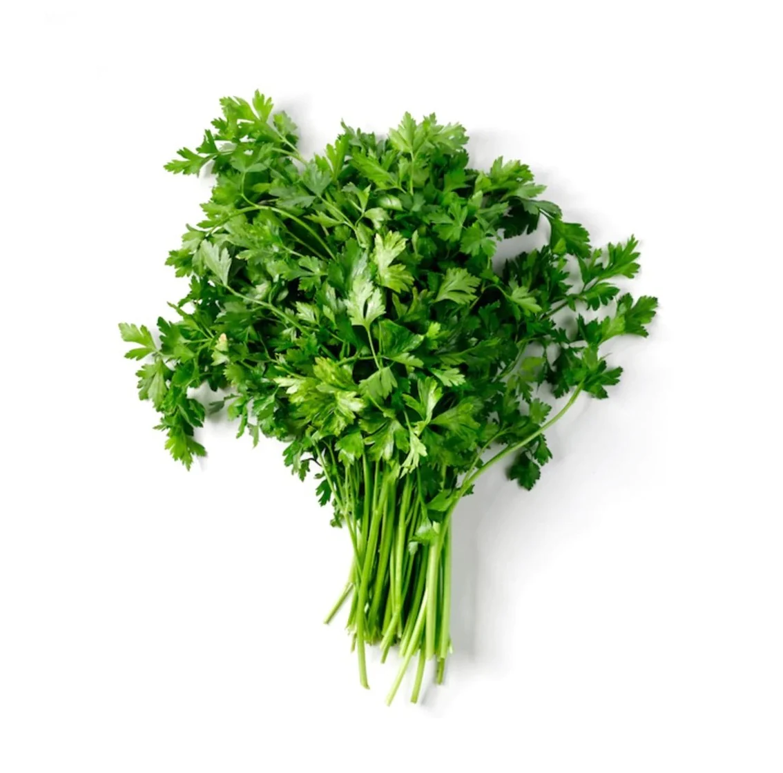 Parsley 6 pack - Italian Flat Leaf