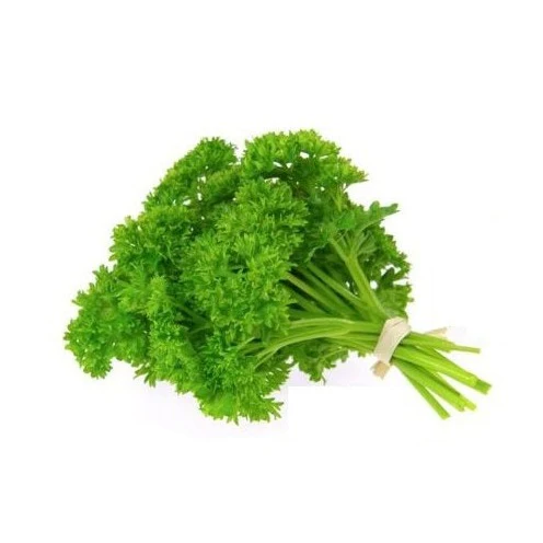 Parsley 6 pack - Moss
