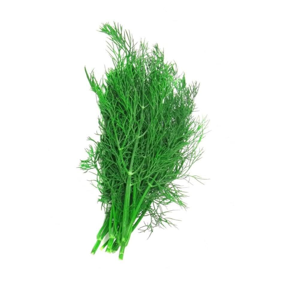 Dill 6 pack