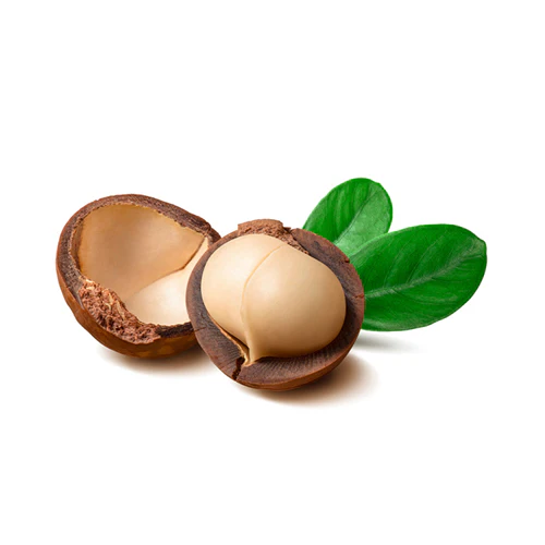 Almond Nut Tree - Texas Mission