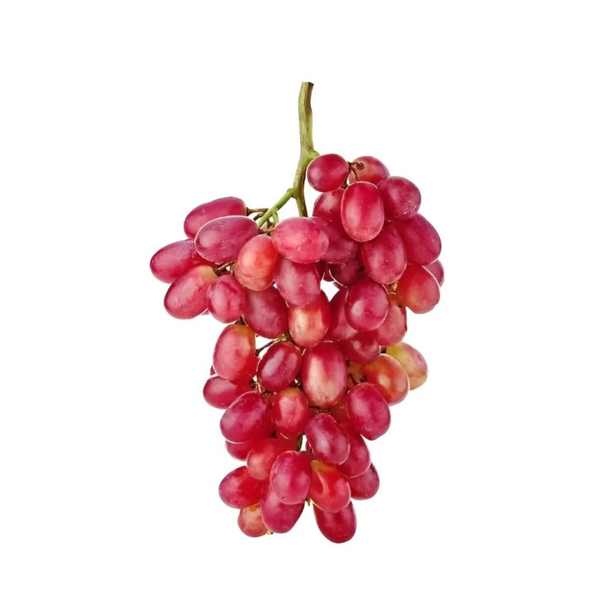 Grape tree - Crimson Red Seedless