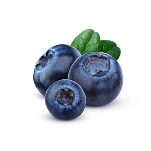 Blueberry Tree - Star