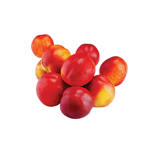 Nectarine Tree - Alpine