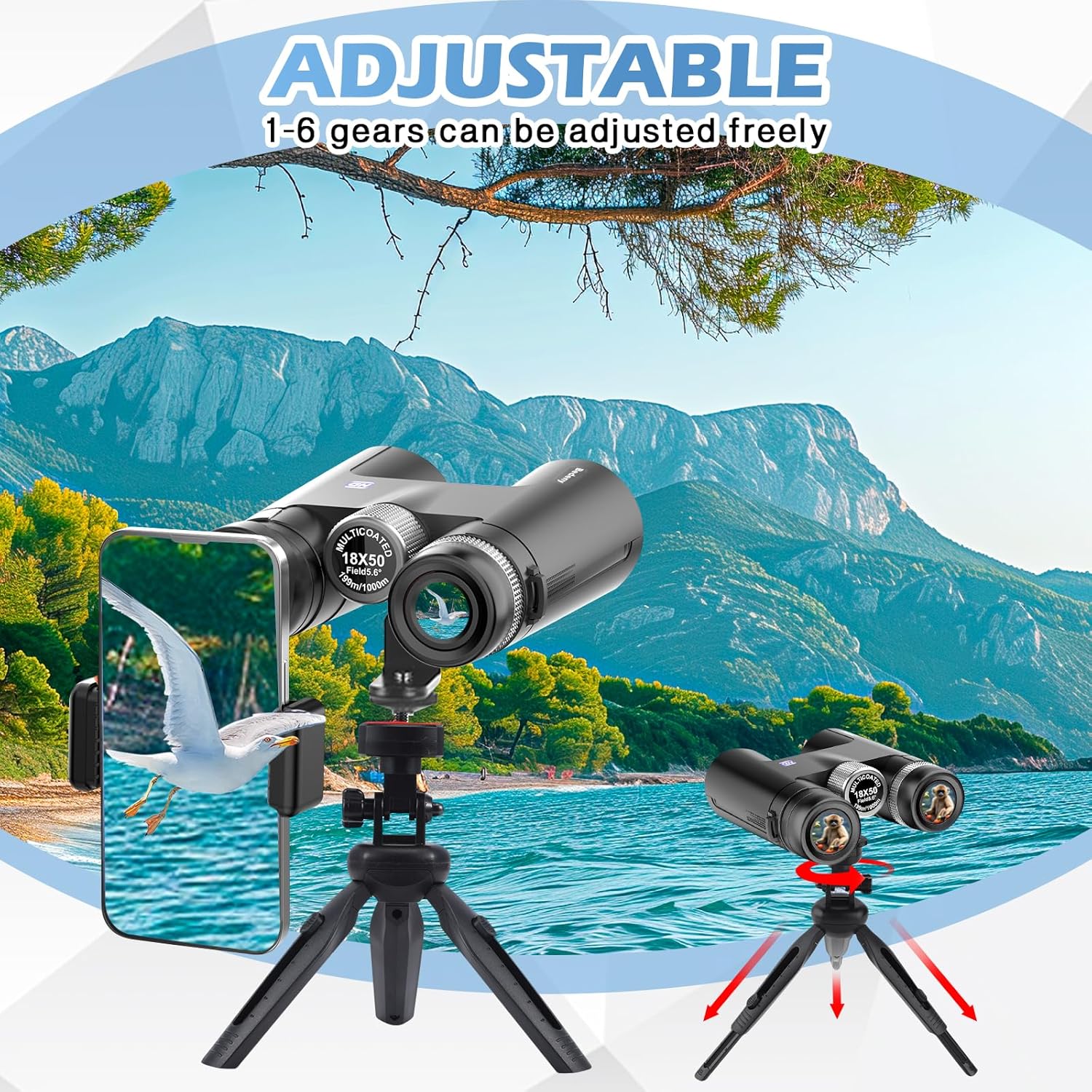 HD Binoculars for Adults with Phone Adapter