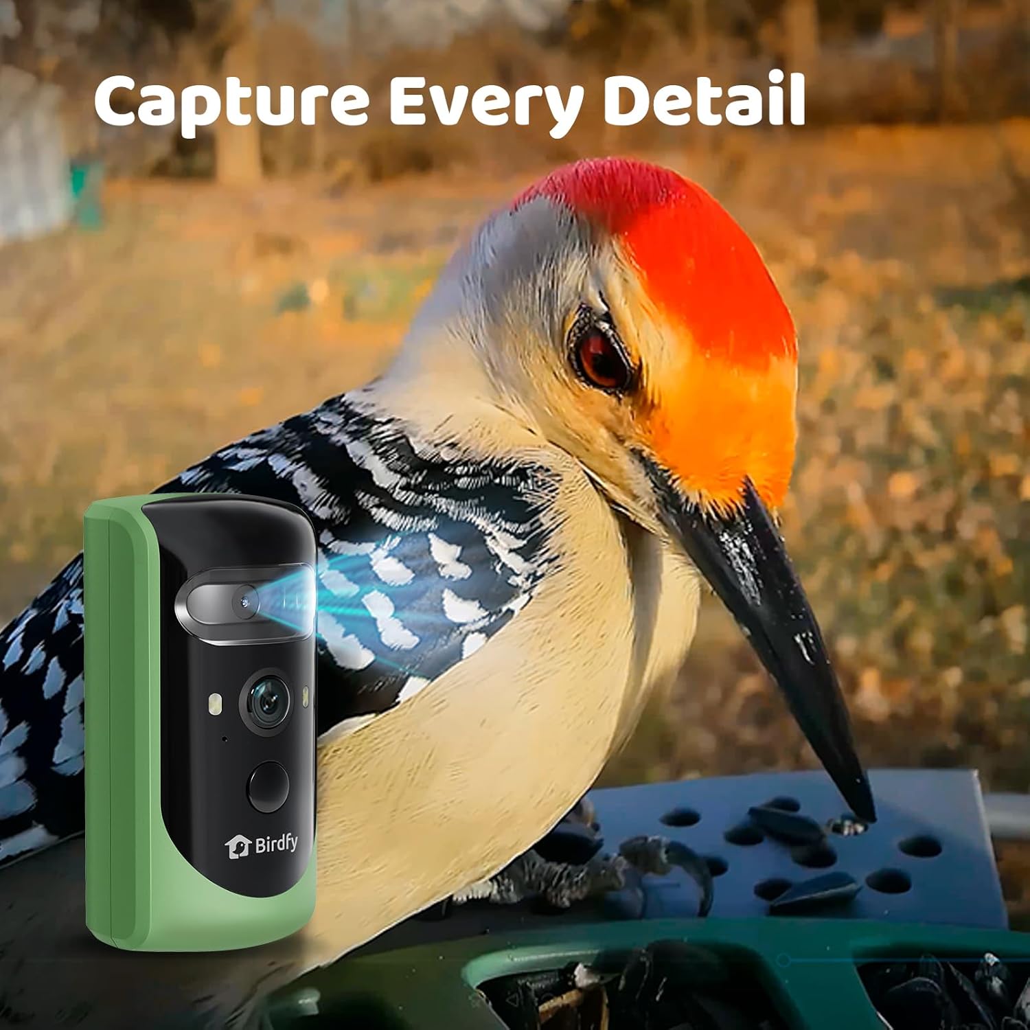 Birdfy 2 Smart Bird Feeder with Camera, Dual Lens, Solar Powered, AI Bird ID