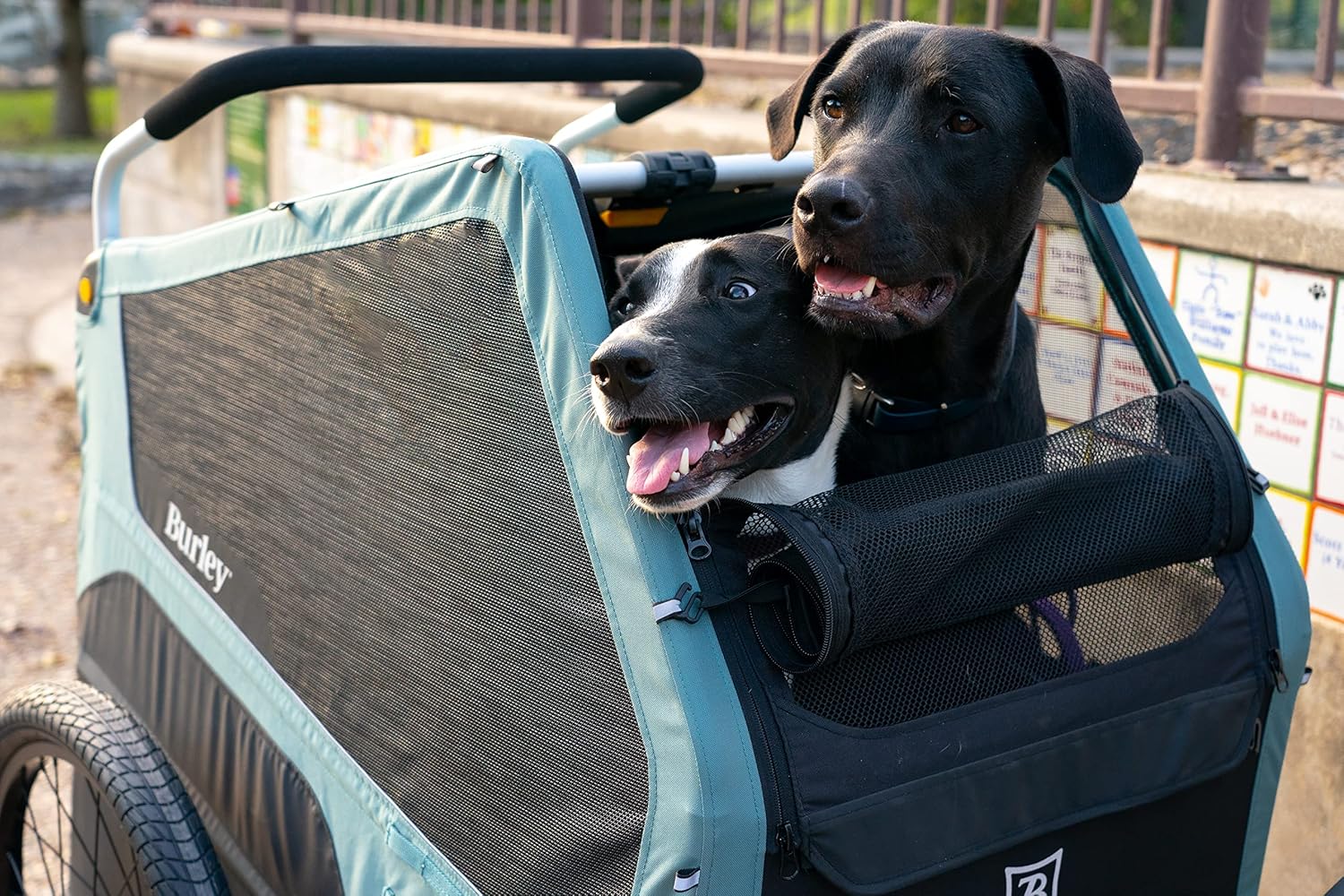 Burley Bark Ranger Pet Bike Trailer