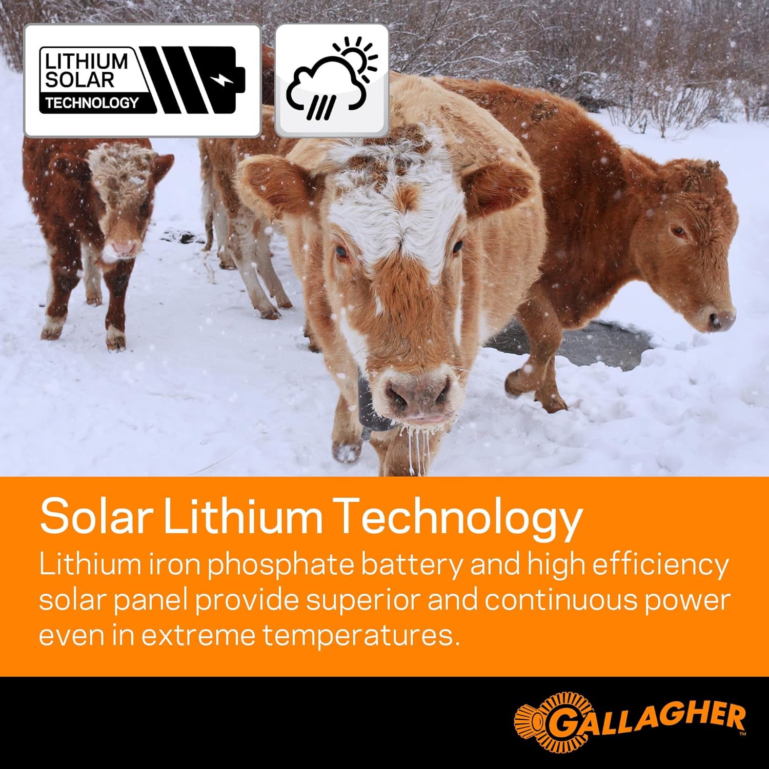 Gallagher S20 Solar Fence Charger, Powers 2 Miles, 0.2 Joule, Lithium Battery