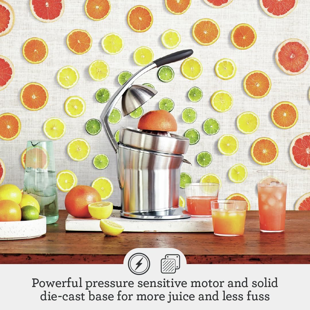 Breville 800CPXL Citrus Press Pro Juicer, Stainless Steel