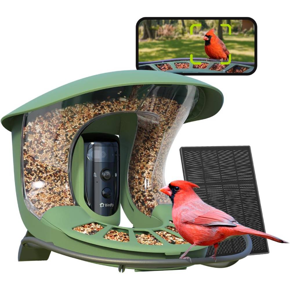 Birdfy 2 Smart Bird Feeder with Camera, Dual Lens, Solar Powered, AI Bird ID