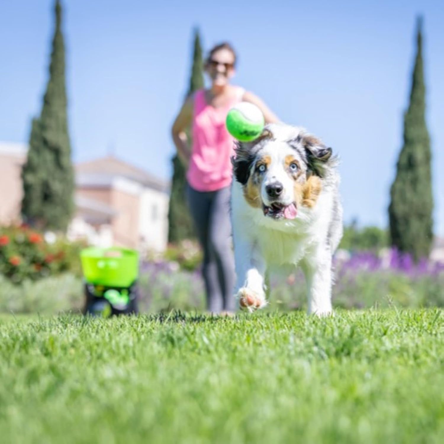 Hyper Pet GoDogGo Automatic Dog Ball Launcher with 5 Balls