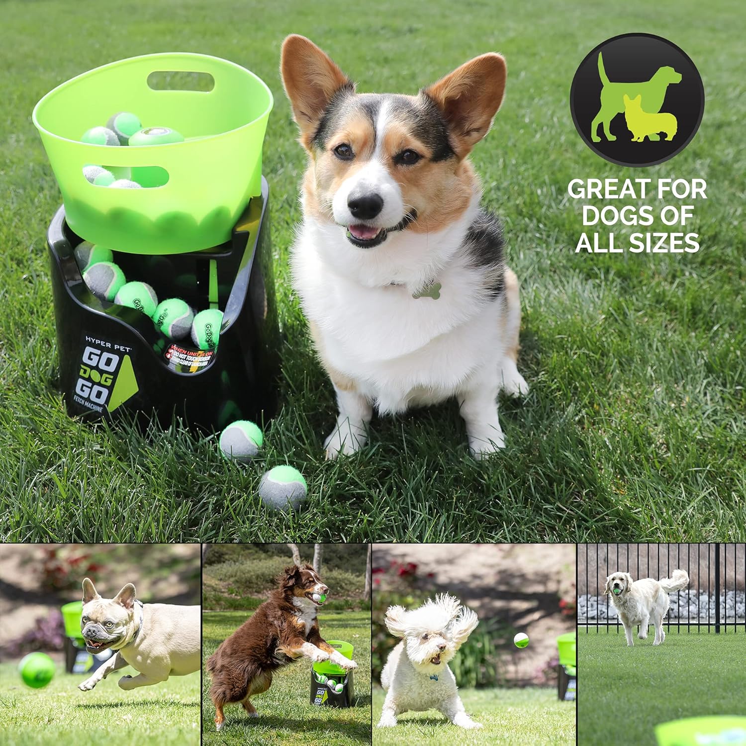 Hyper Pet GoDogGo Automatic Dog Ball Launcher with 5 Balls