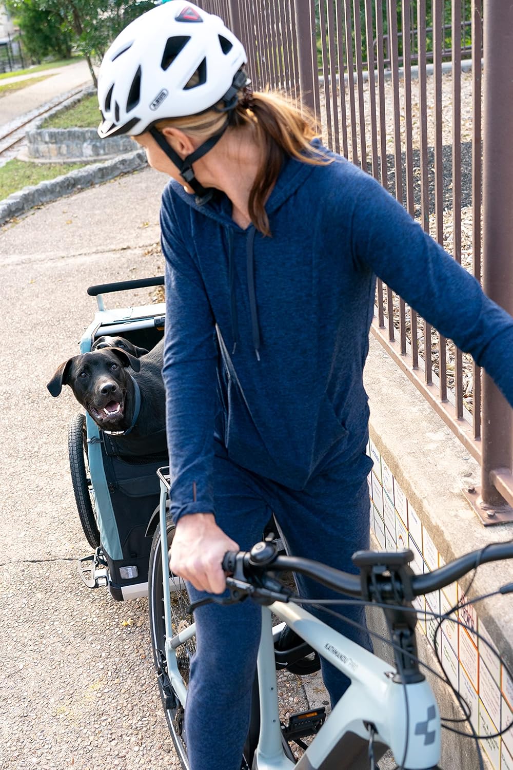 Burley Bark Ranger Pet Bike Trailer