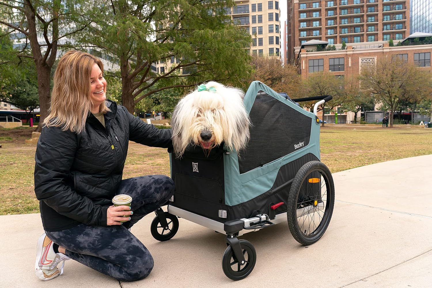 Burley Bark Ranger Pet Bike Trailer