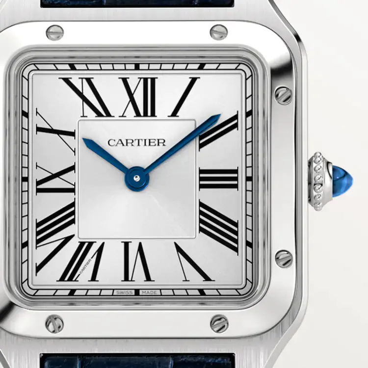 CARTIER SANTOS-DUMONT Small Model Blue Strap WSSA0023 - United Luxury