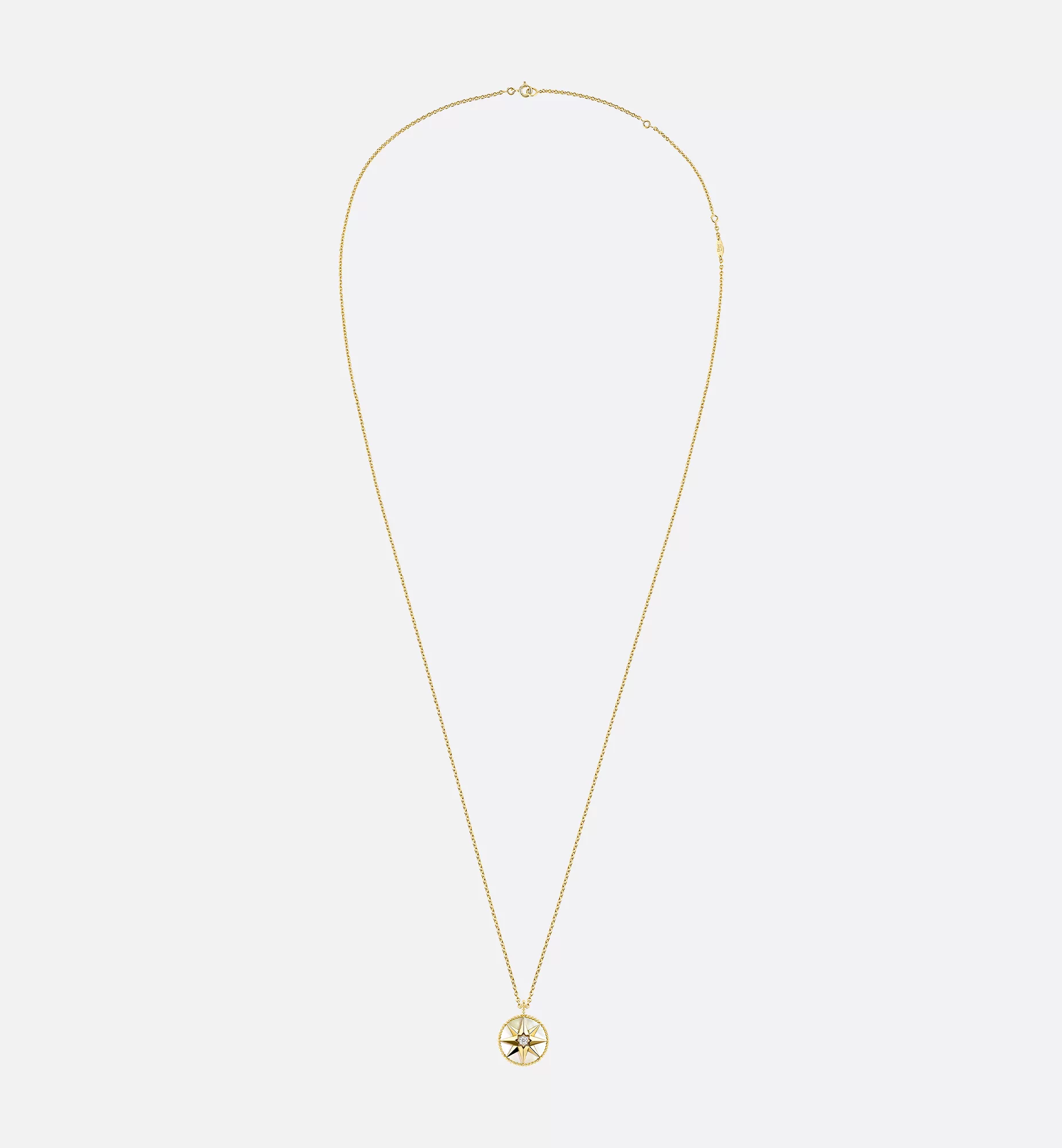 Top 1:1 replica Dior Medium Rose des Vents Medallion