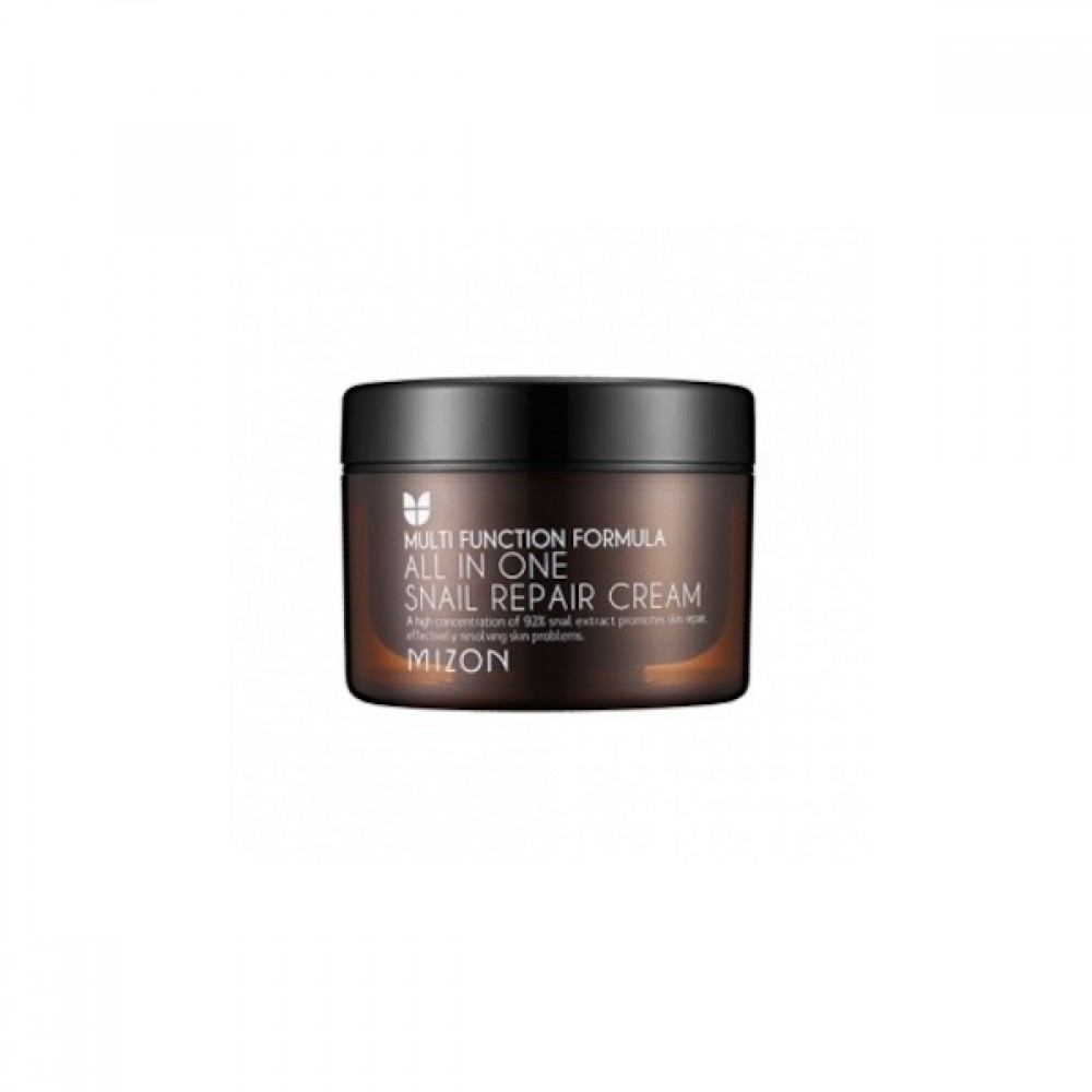 MIZON - All In One Snail Repair Cream - 120ml