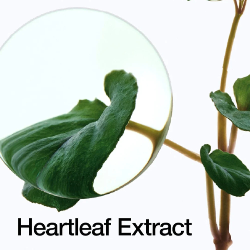 ANUA - Heartleaf Pore Control Cleansing Oil - 200ml