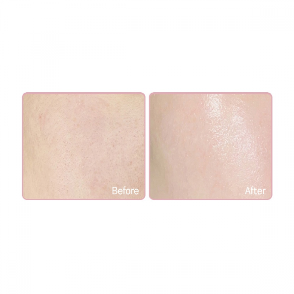 Round Lab - Birch Juice Moisturizing Tone-up Sun Cream SPF50+ PA++++ - 50ml