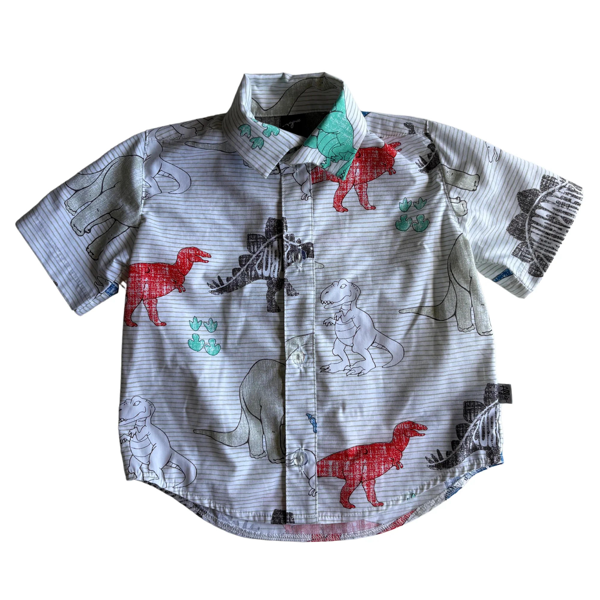Dino Party Shirt