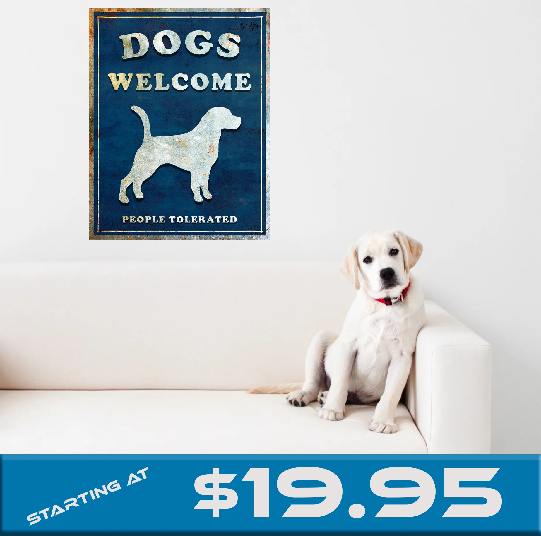 Dogs Welcome