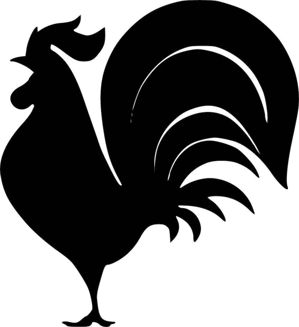Rooster