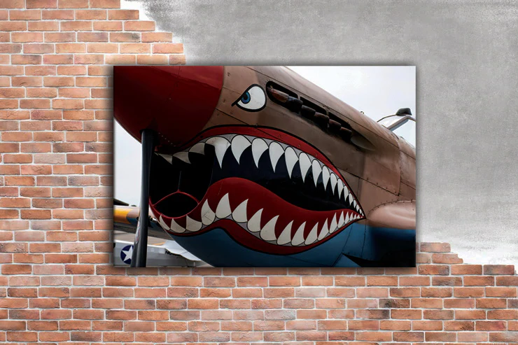 Shark Bomber