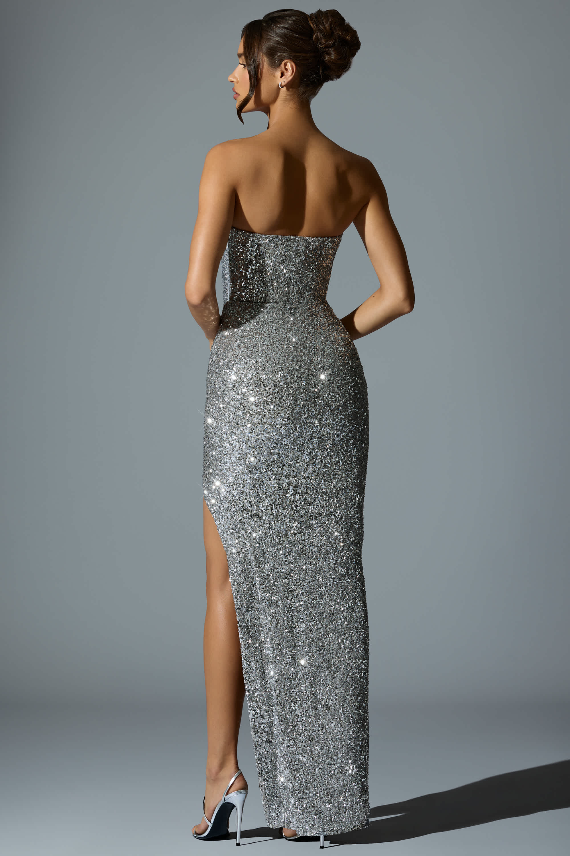 Jasella-Embellished Corset Gown in Silver