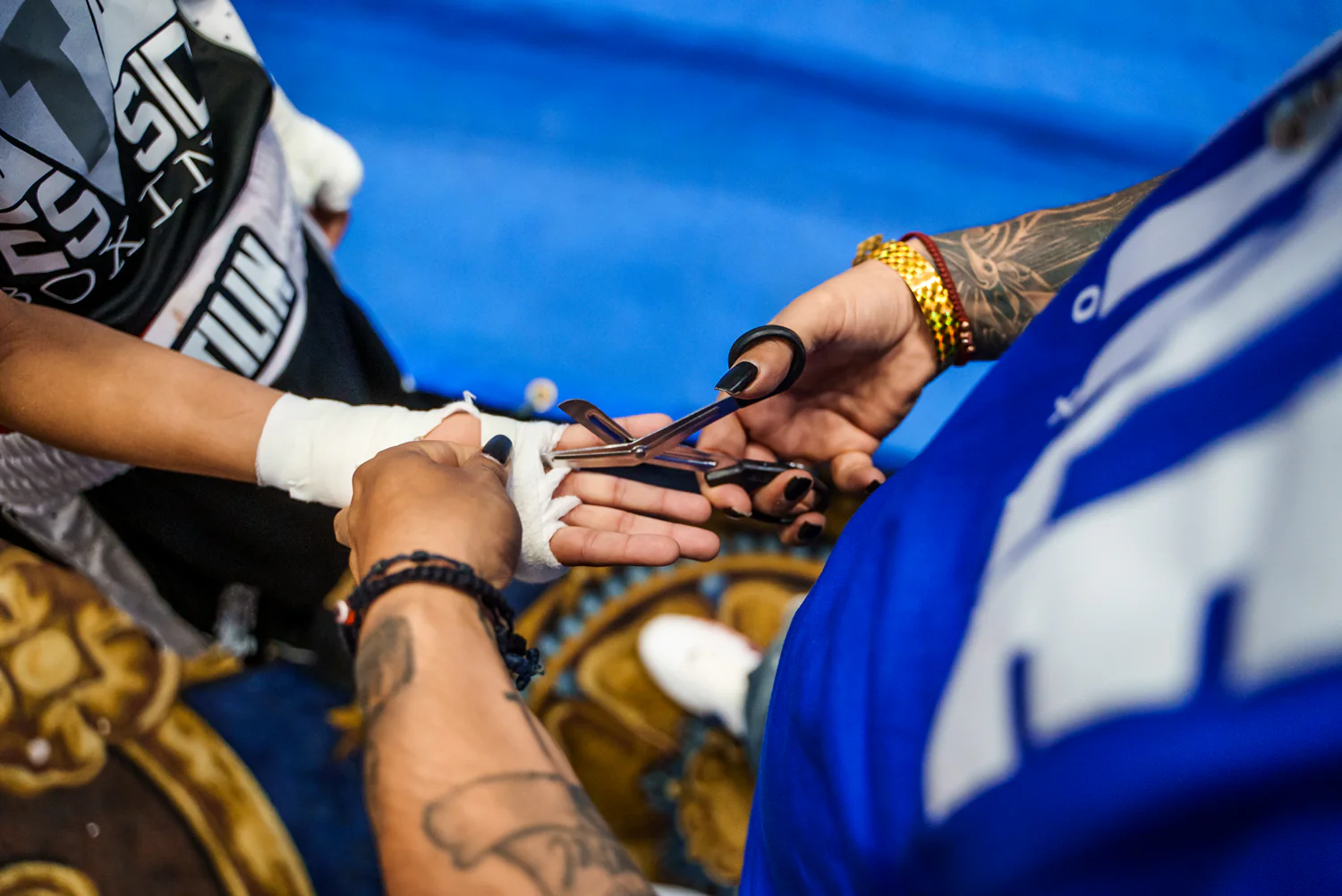 TITLE Boxing Titanium Corner Scissors