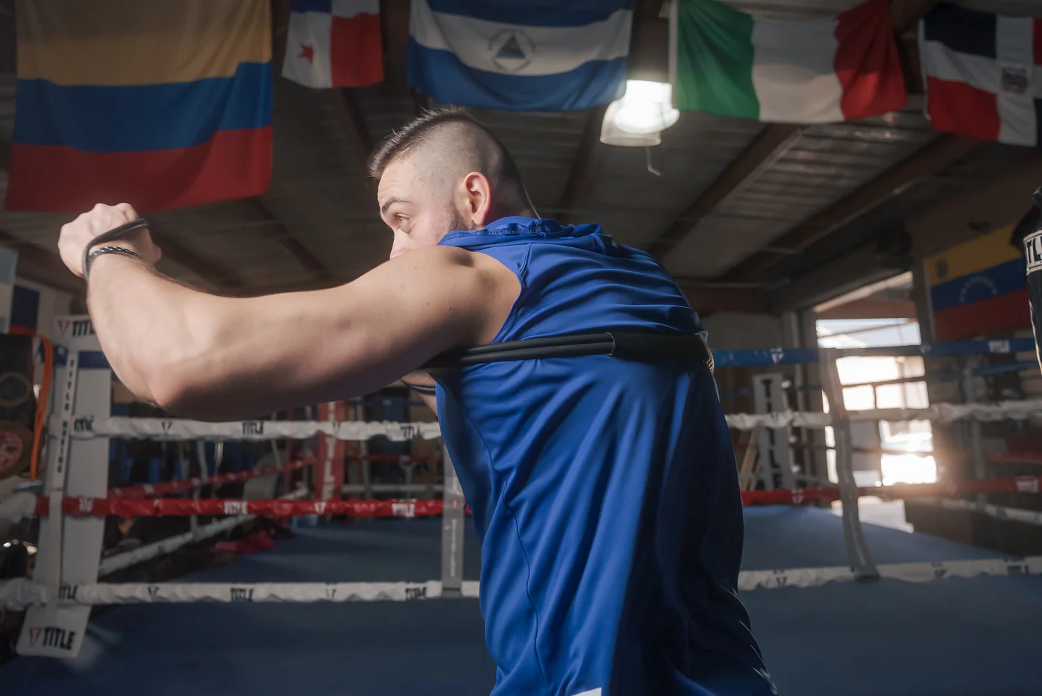 TITLE Boxing Pro Shadow Boxer 2.0