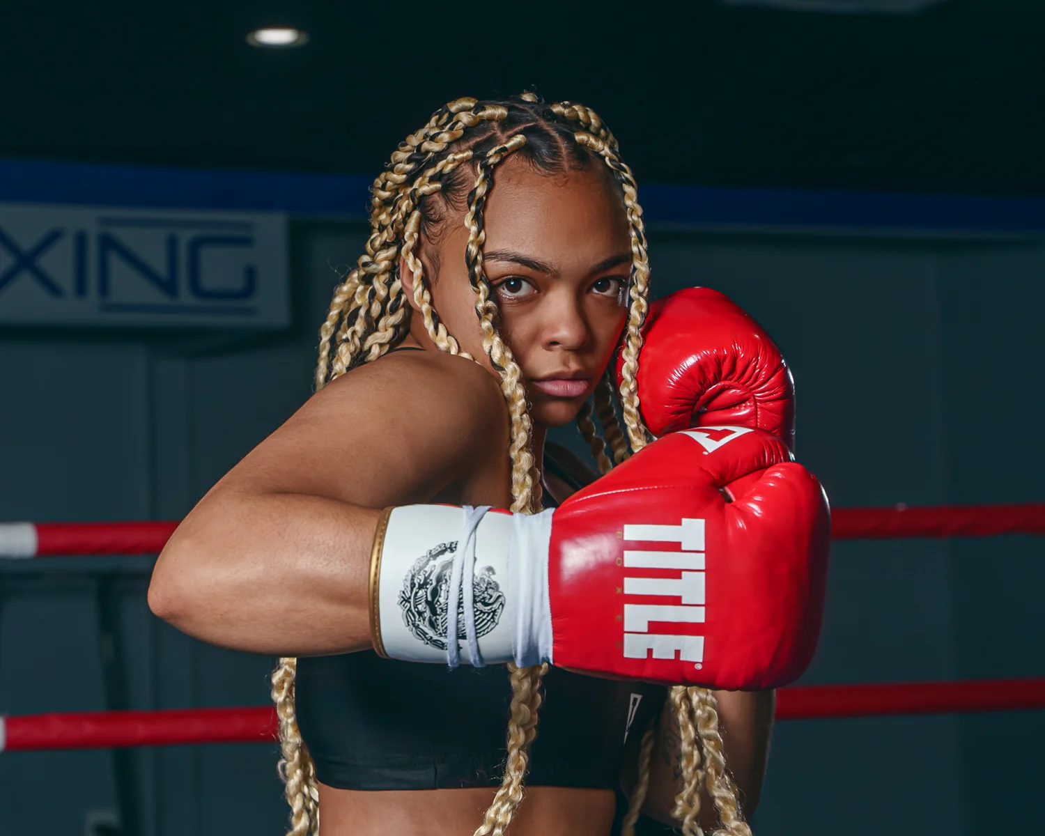 TITLE Boxeo Pro Fight Boxing Gloves