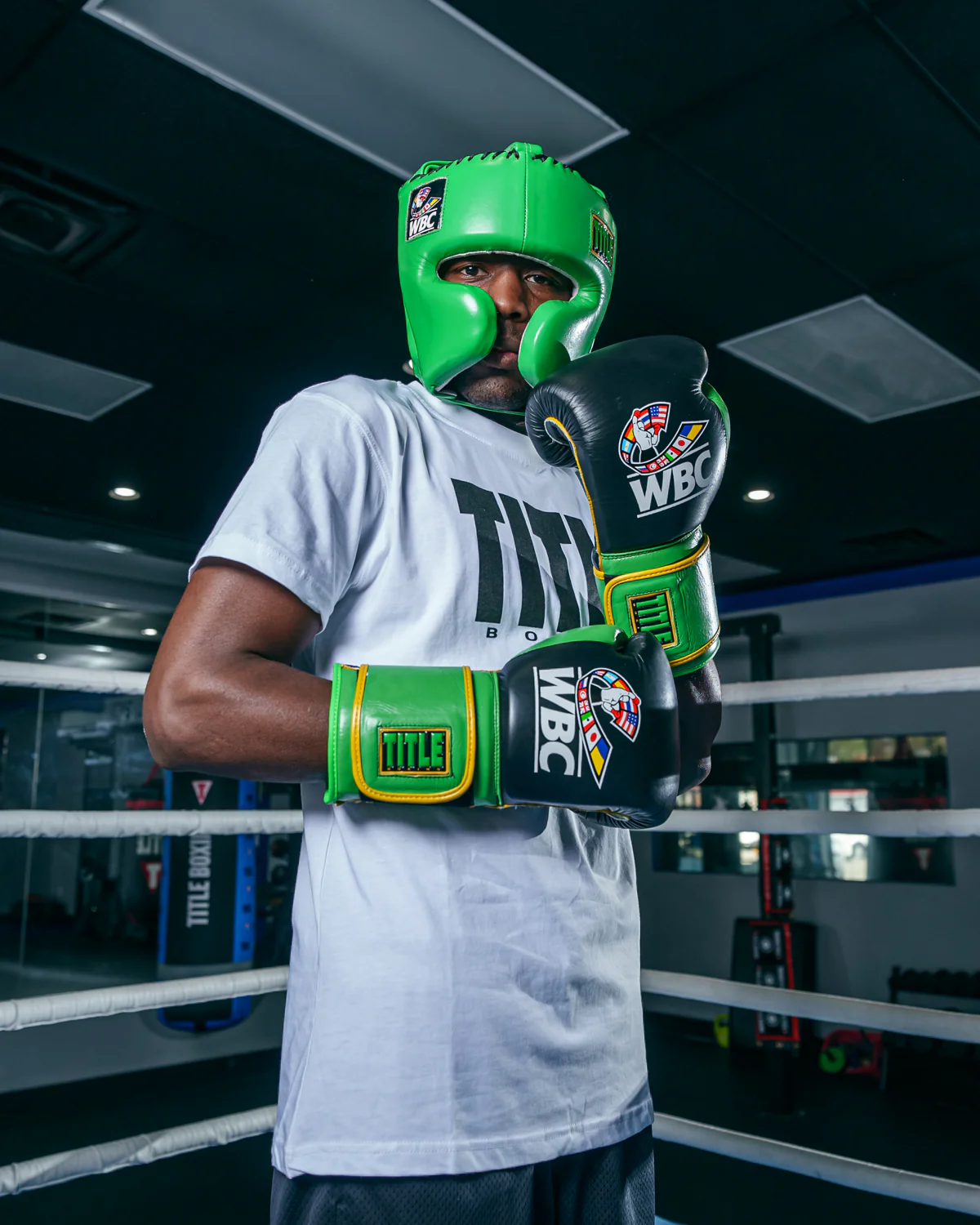 WBC by TITLE Boxing Training Boxing Gloves