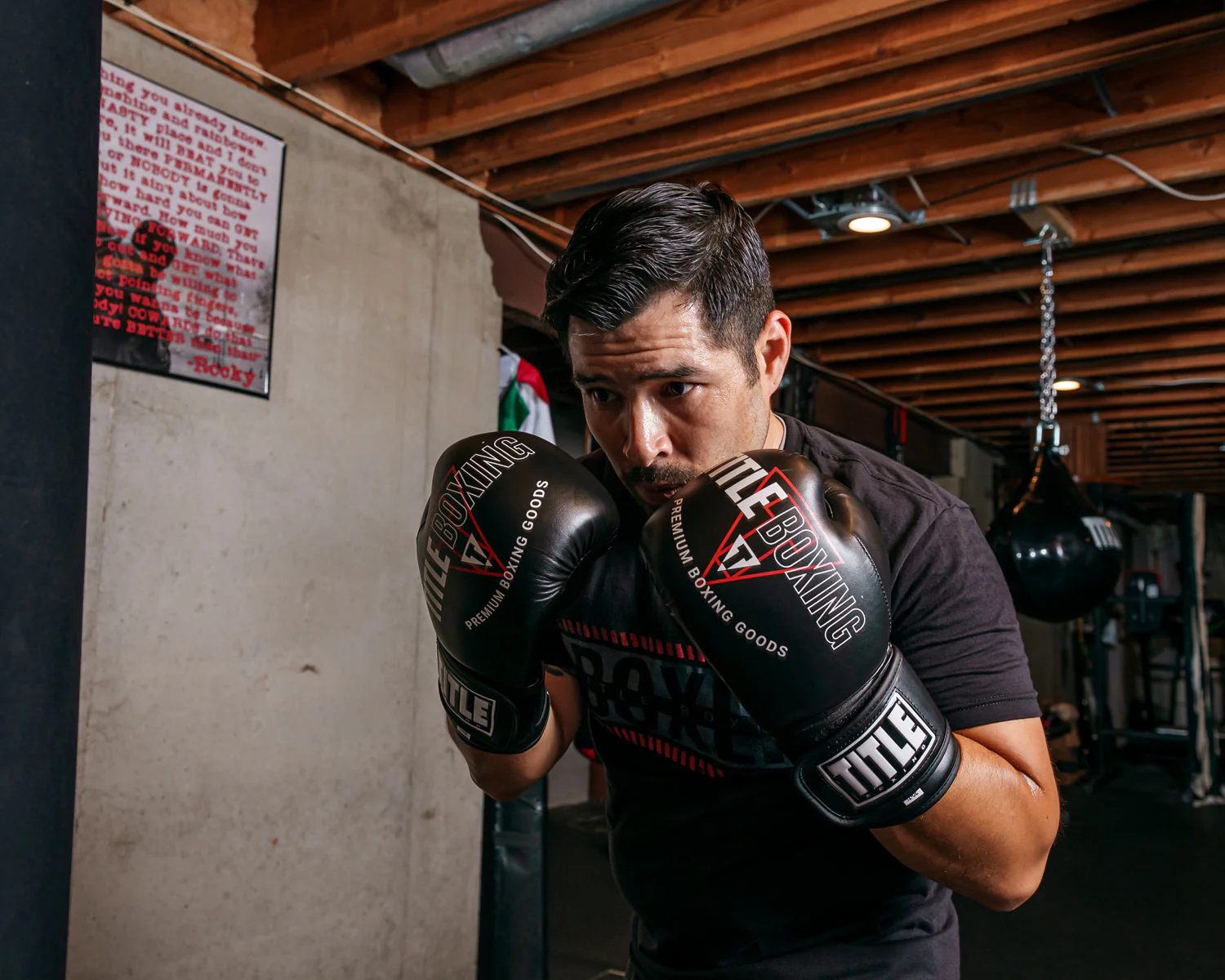 TITLE Boxing Peak Bag Boxing Gloves