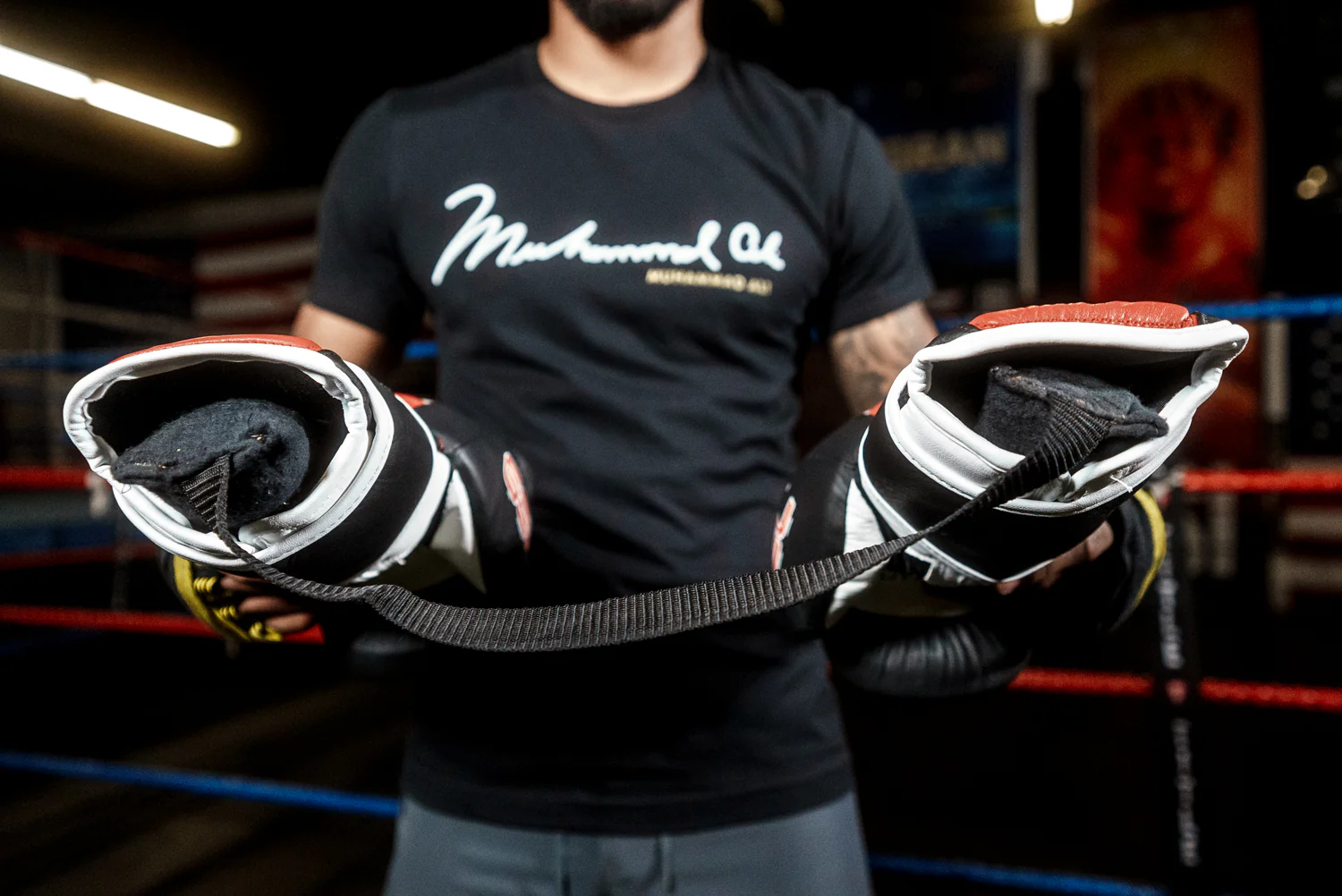 TITLE Boxing Glove Dry Devil 2.0